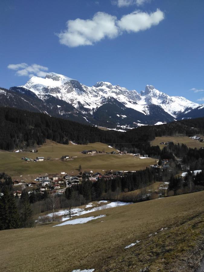 Appartement Leh Annaberg im Lammertal Bagian luar foto