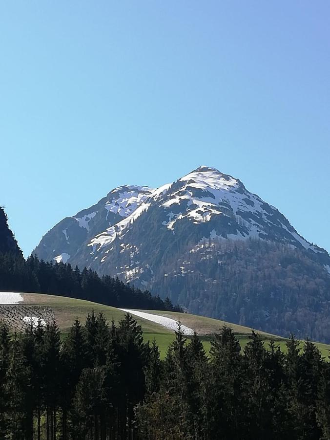 Appartement Leh Annaberg im Lammertal Bagian luar foto