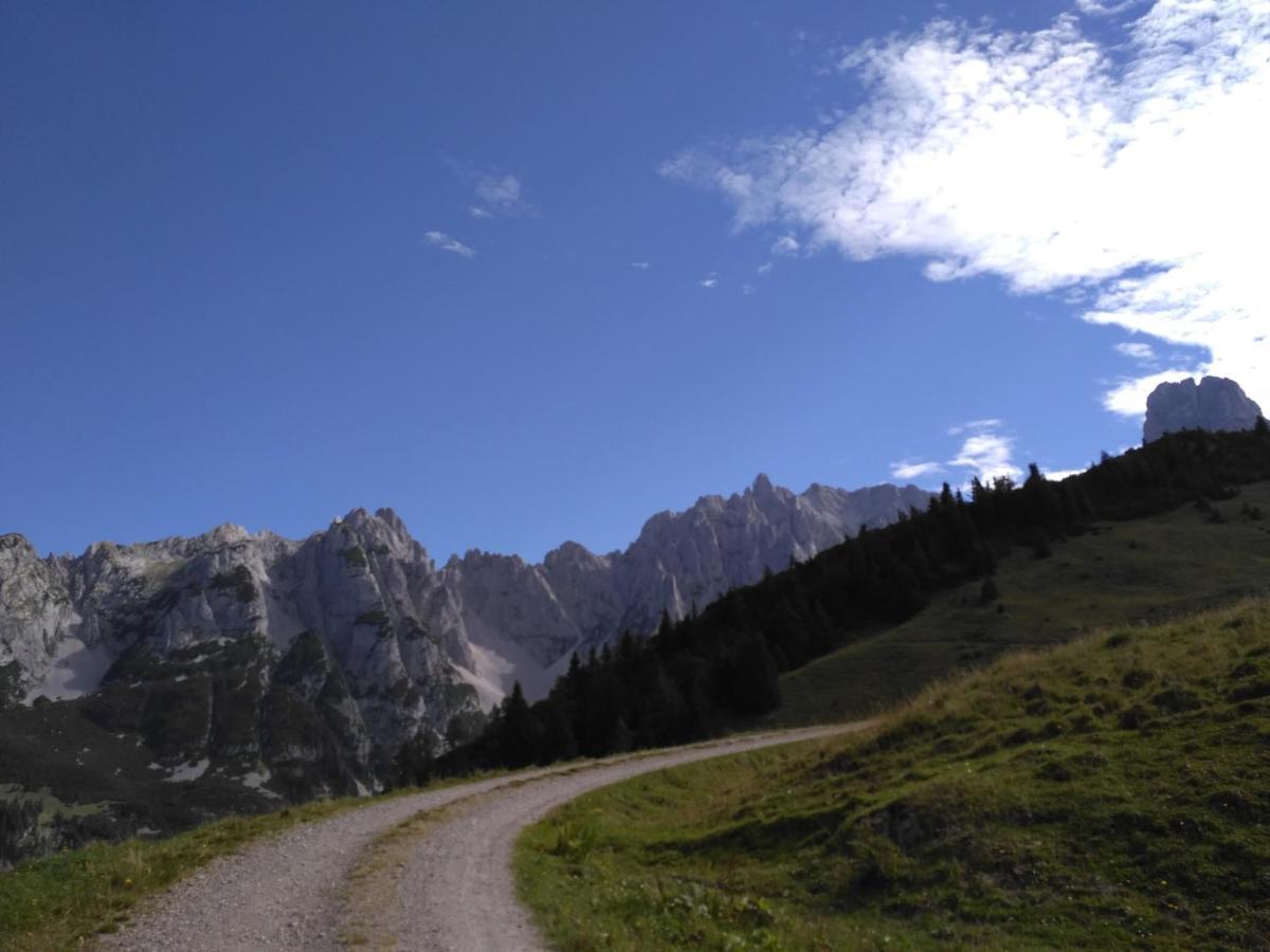 Appartement Leh Annaberg im Lammertal Bagian luar foto