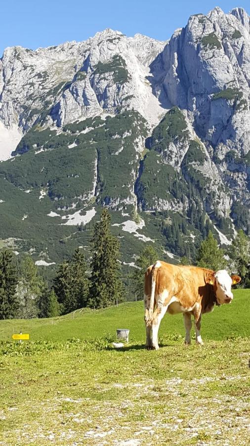 Appartement Leh Annaberg im Lammertal Bagian luar foto