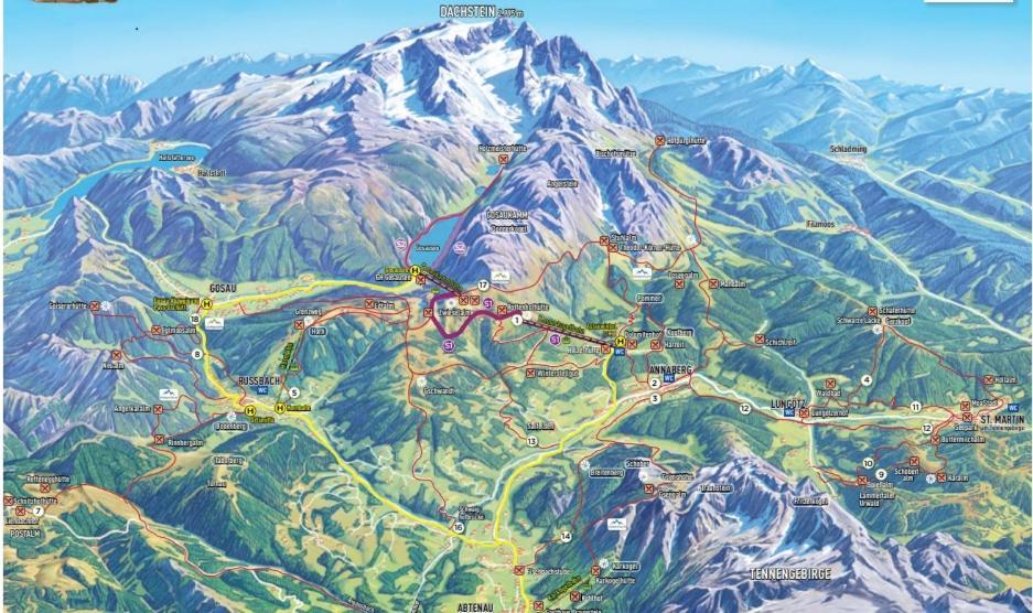 Appartement Leh Annaberg im Lammertal Bagian luar foto